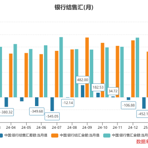 2月非银行部门跨境收支顺差290亿美元 跨境资金呈现净流入