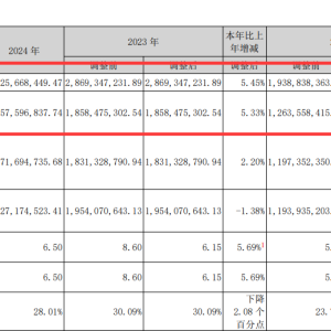 爱美客2024年收入、净利润增速一齐放缓至个位数