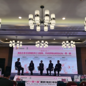 渐进布局or抱团突围？业内分享2025年企业出海新思路