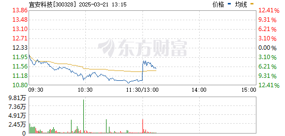 R图 300328_0