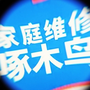整改越来越敷衍？啄木鸟被网友质疑“整改进展”发布不及时，大量订单未解决 ...