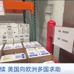 蛋价高！美墨边境鸡蛋走私案激增：半年内近6000起