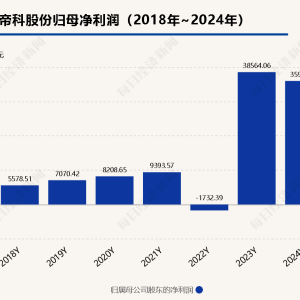 帝科股份21.5亿元关联销售背后：实控人卖股后仍为第二大客户董事 ...
