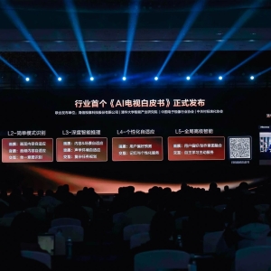 电视迎百年变局时刻：AI重塑产业规则，规范"制"肘破局在即？ ...