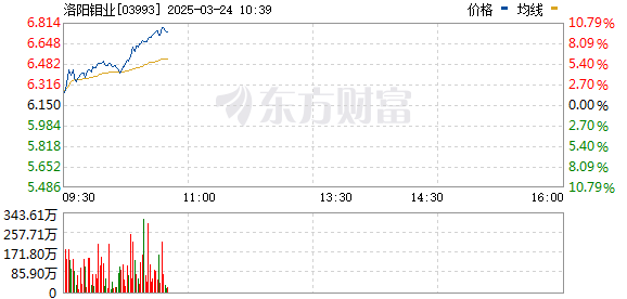 R图 03993_0