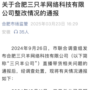 整改半年后“三只羊”或有望复出：合规仍是头等大事，小杨哥们无法再“疯狂” ...