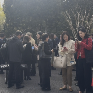 专访杨元庆：AI电脑是大势所趋，是人工智能落地的根本
