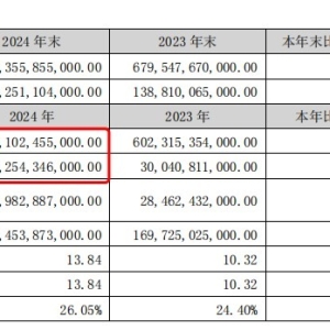 拟10派39.74元！比亚迪发布2024年度财报：营收超7771亿元，净赚超400亿元 ...