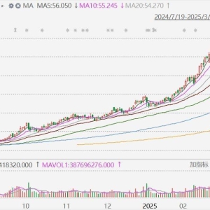 小米集团低开5.5%！以先旧后新方式配售8亿股，占扩大后股本约3.1%筹资426亿港元 ...