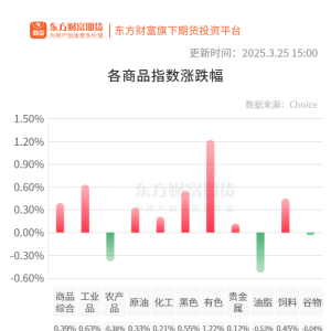 期市收评