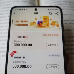 多家银行上调消费贷额度上限，银行客户经理介绍“有产品最高可提升至100万元” ...