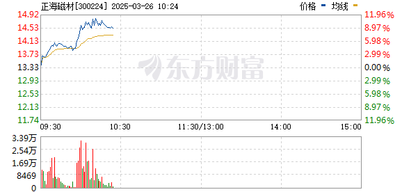 R图 300224_0