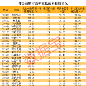 错杀的优质科技股 多只AI龙头上榜 高成长低估值