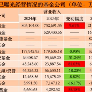 11家公募去年净利出炉：华夏以21亿暂时领跑 6家同比下滑