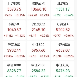 A股收评：三大指数低开高走小幅上涨，创业板指涨0.24%北证50跌0.69%，光刻机、创新药 ...