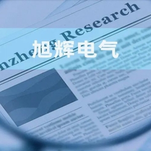 旭辉电气：财务负责人任职“走马灯” 签字注会服务多年后“突击”更换 ...