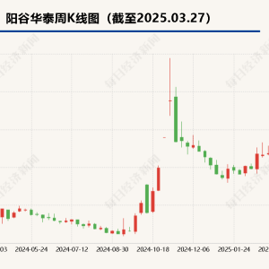阳谷华泰2024年业绩发布：净利润下滑近四成，橡胶助剂行业竞争压力凸显 ...
