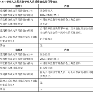 因投资不审慎、业务不合规、个人违规等情形，10多家基金公司在2024年被采取监管措施 ...