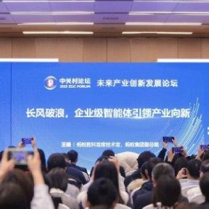 如何实现AI规模化落地？蚂蚁数科王维：可信智能体已成产业规模化应用AI的“必选项” ...