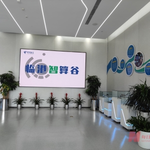 DeepSeek改变国产算力命运 算力服务正从“毛坯房”向“拎包入住”转型 | 一线调研 ...