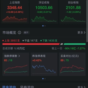 沪指冲高回落，这两个板块爆发！小米港股股价下跌超6%，公司高管回应雷军减持传闻 ...