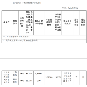 担保逾期后再加码担保额度？创兴资源一名董事反对