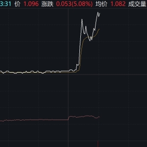 日本股市午后小幅走高，日经ETF盘中异动拉升逾5%，溢价超9%