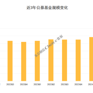 公募基金2024年年报数据榜单出炉（附重仓股名单）