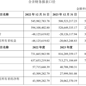 山子高科拟4.74亿元剥离物管及酒店业务，两位董事因“未完成内部决策流程”弃权表决 ...
