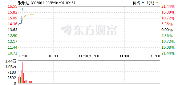 R图 300696_0