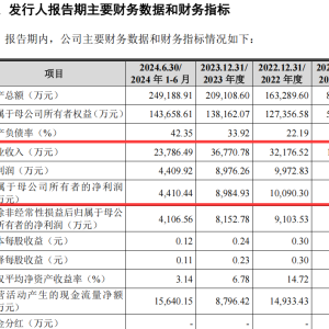 揽入无实质性业务公司、收购股权未披露？闯关IPO的恒坤新材这样说 ...
