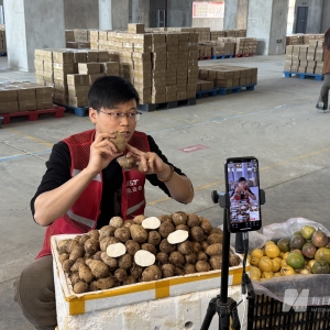深度调研｜5年杀出血路，极兔中国“活下来”：难以复制的总部放权与“江湖式信任” ...