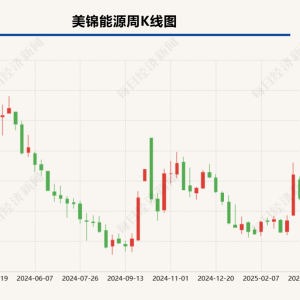 各方谈判未达成一致 美锦能源终止重大资产重组