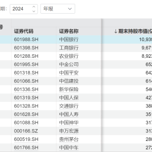“国家队”持仓曝光！以大市值股票为主 买了这些股票
