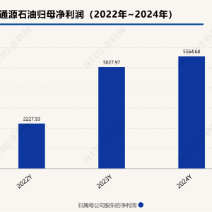 海外市场，“救”了通源石油？