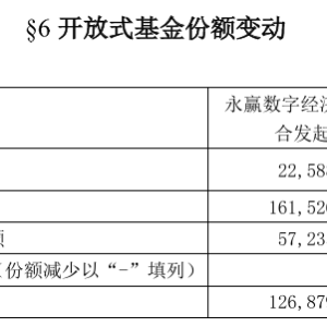多只科技主题基金一季度规模变化明显，有基金份额增长超10倍 ...