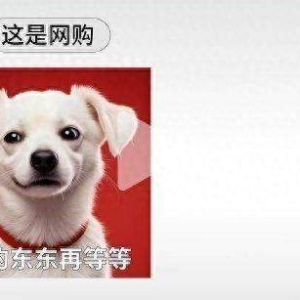 京东疑似回应美团闪购嘲讽：“自营秒送”电商业务平均送达时间快于30分钟，将再招收不 ...