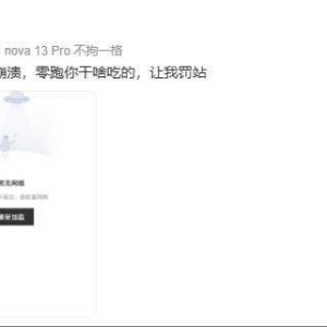零跑APP崩了无法解锁车辆，车主抱怨“干什么吃的，让我罚站” ...