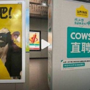 COWS直聘，找工作，直接跟老板哞！致敬BOSS直聘广告被指嘲讽打工人，认养一头牛回应： ...