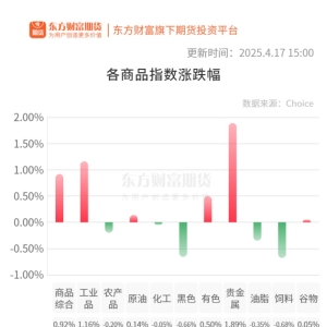 期市收评