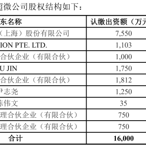 集结半导体精英！尹志尧不到半年两次增资超微公司 加码芯片制造关键设备 ...