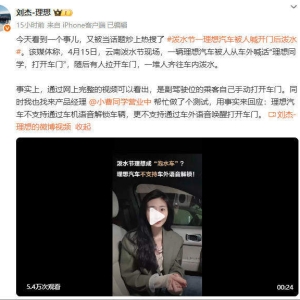 泼水节被外人语音解锁开门泼成泡水车？理想汽车副总裁回应 ...