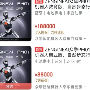 能跑马拉松、能带货！人形机器人已走进你的购物车｜“奔跑吧”具身智能③ ...