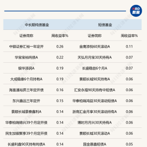 当前债市震荡格局难打破，纯债基金收益率不佳，外部仍看好中国债市 ...
