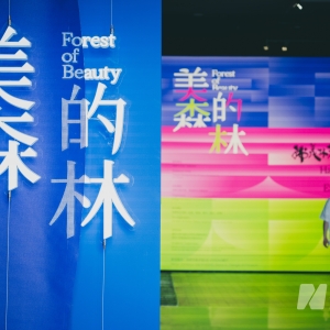 大师笔下的“花局”何以散发“萌力”？答案就在“美的森林” ...
