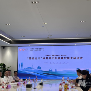 从“名品”到“潮礼”：城市伴手礼如何讲出动人的成都故事？ ...