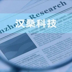 汉桑科技：进出口服务商或被“包装”成海外研发中心 部分研发人员兼职营销工作 ...