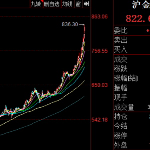 黄金暴涨，单日成交近万亿元！机构普遍看多，明星期货席位却减仓 ...