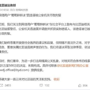 比亚迪法务部：网络用户“葡萄碎碎冰”造谣邻居家比亚迪海鸥充电爆炸把自家房子烧了， ...