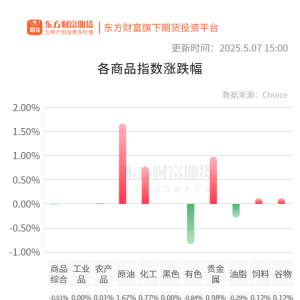 期市收评